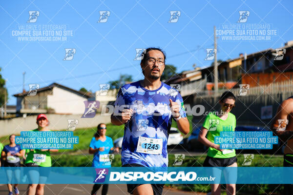 Vale Verde Run 2024