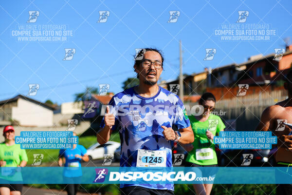 Vale Verde Run 2024