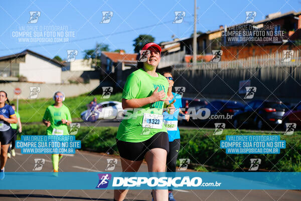 Vale Verde Run 2024