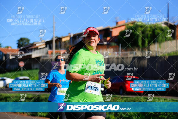 Vale Verde Run 2024