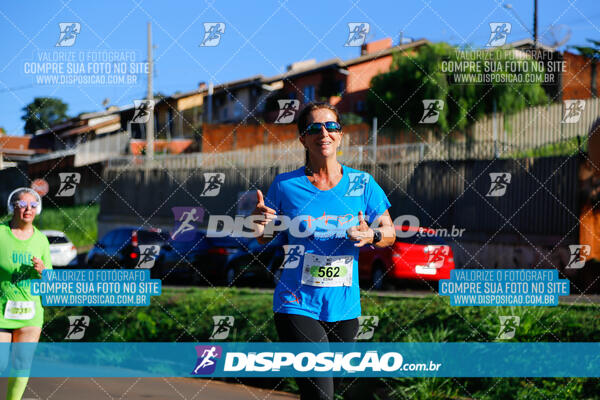 Vale Verde Run 2024