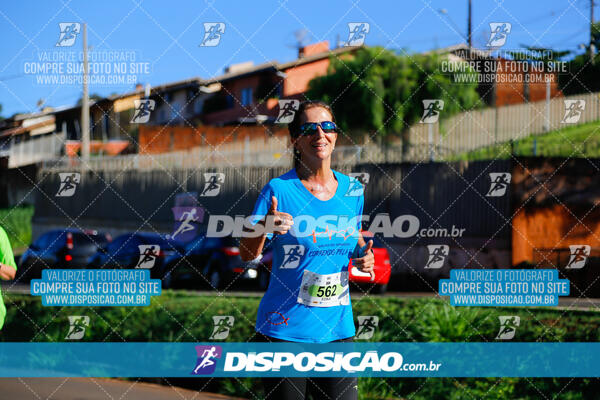 Vale Verde Run 2024