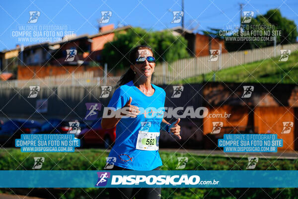 Vale Verde Run 2024