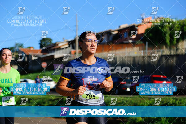 Vale Verde Run 2024