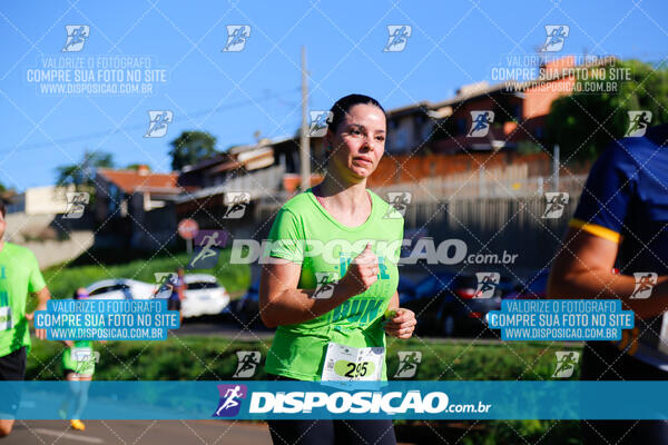 Vale Verde Run 2024