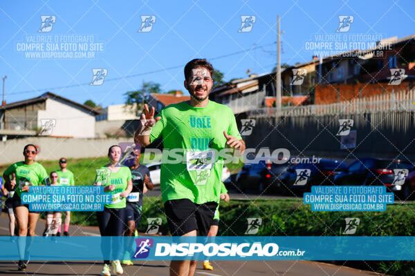 Vale Verde Run 2024