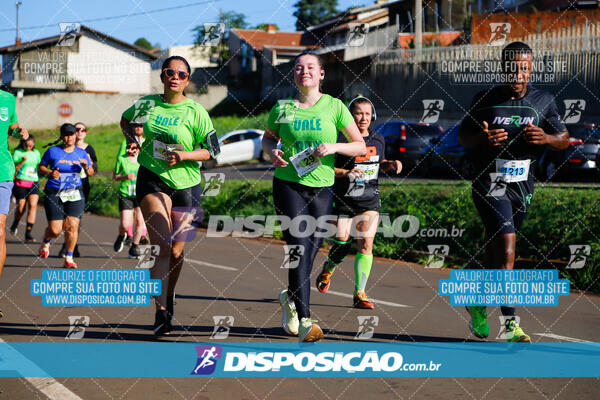 Vale Verde Run 2024