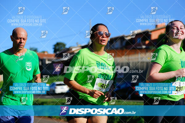 Vale Verde Run 2024