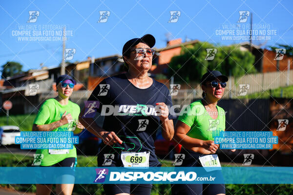 Vale Verde Run 2024