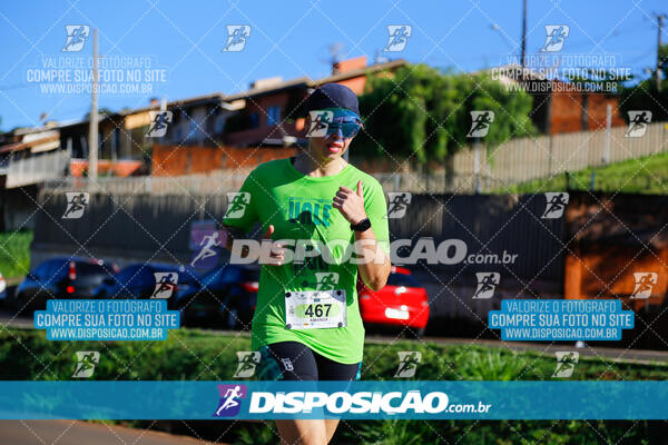 Vale Verde Run 2024