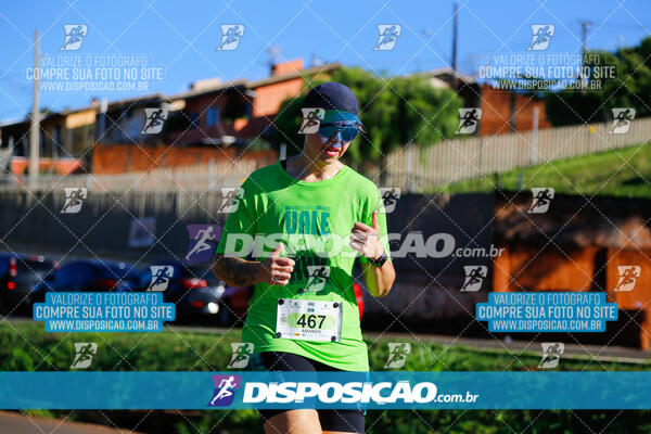 Vale Verde Run 2024