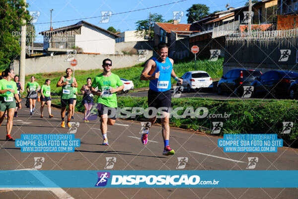 Vale Verde Run 2024