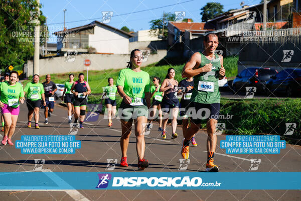 Vale Verde Run 2024