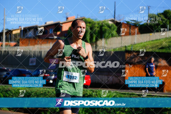 Vale Verde Run 2024