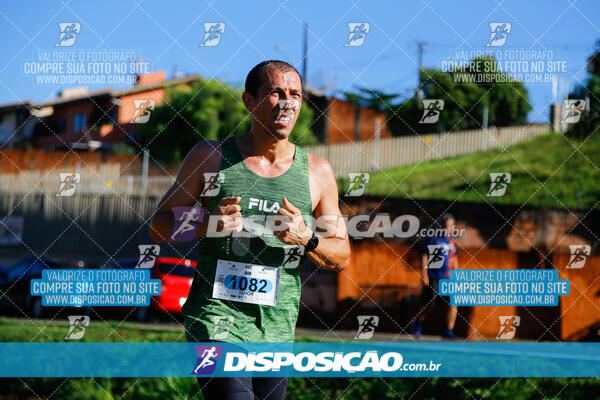 Vale Verde Run 2024