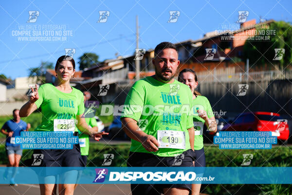 Vale Verde Run 2024