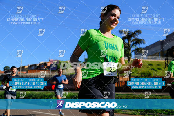 Vale Verde Run 2024