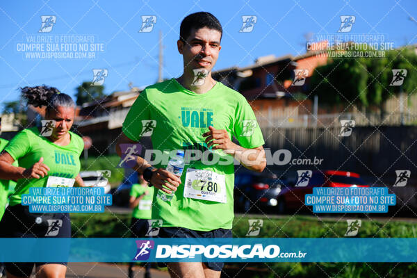 Vale Verde Run 2024