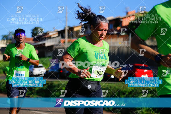 Vale Verde Run 2024