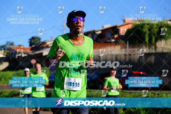 Vale Verde Run 2024