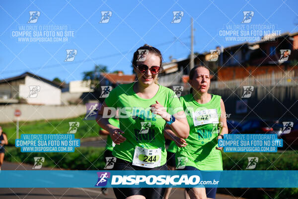 Vale Verde Run 2024