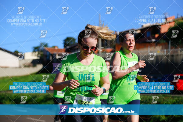 Vale Verde Run 2024