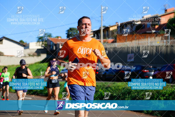 Vale Verde Run 2024