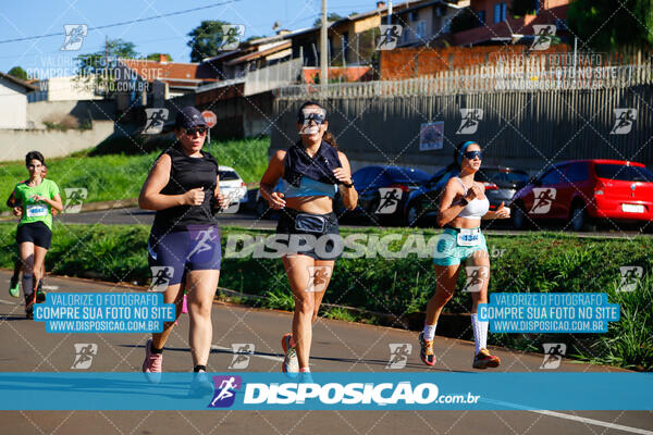 Vale Verde Run 2024