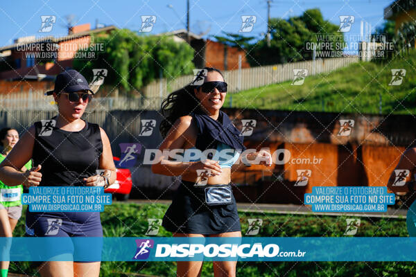 Vale Verde Run 2024