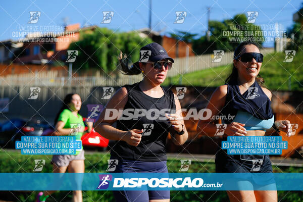 Vale Verde Run 2024