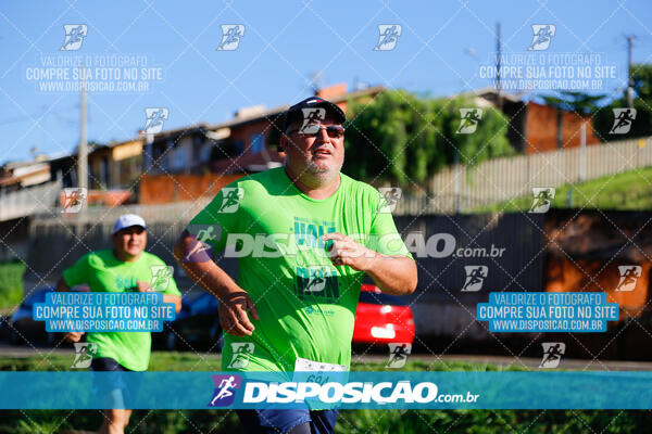 Vale Verde Run 2024