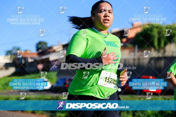 Vale Verde Run 2024