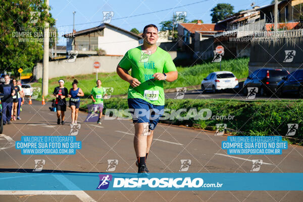 Vale Verde Run 2024