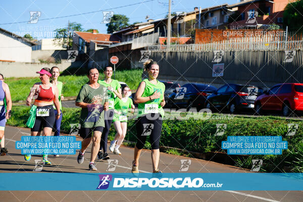 Vale Verde Run 2024