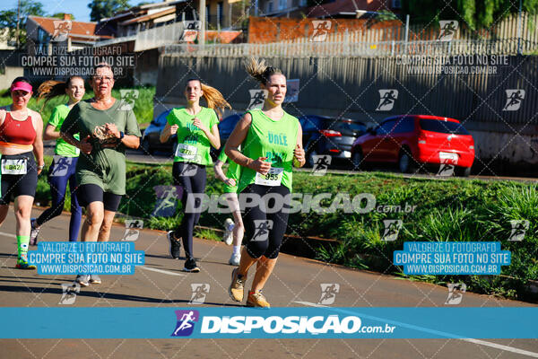 Vale Verde Run 2024