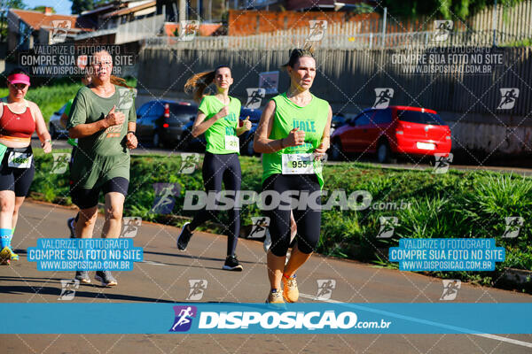 Vale Verde Run 2024