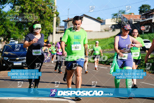 Vale Verde Run 2024