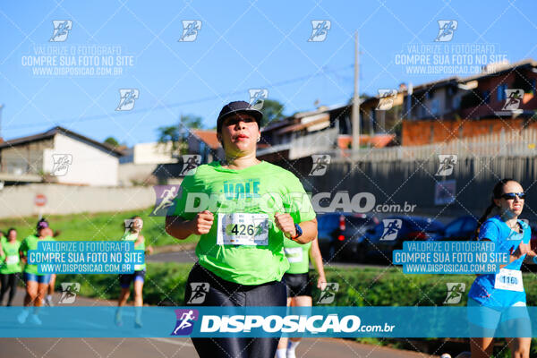 Vale Verde Run 2024