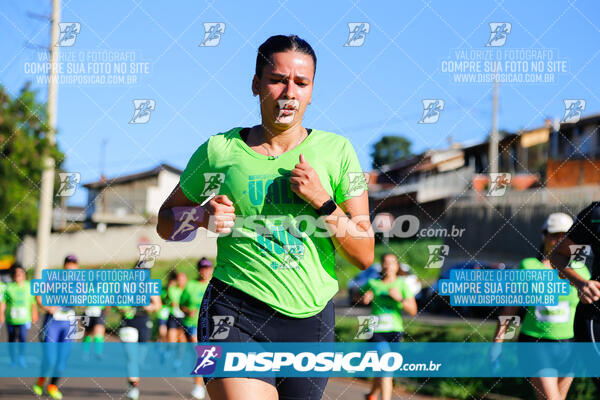 Vale Verde Run 2024