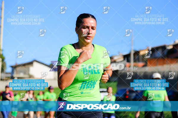 Vale Verde Run 2024