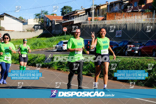 Vale Verde Run 2024