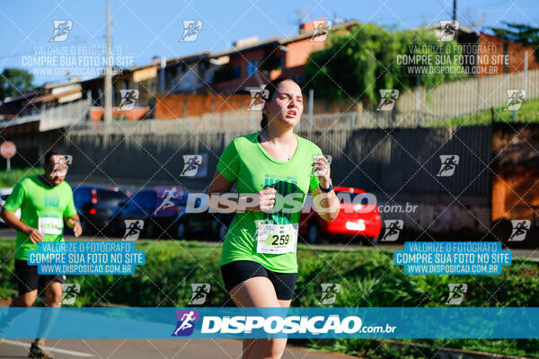 Vale Verde Run 2024