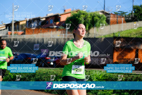 Vale Verde Run 2024