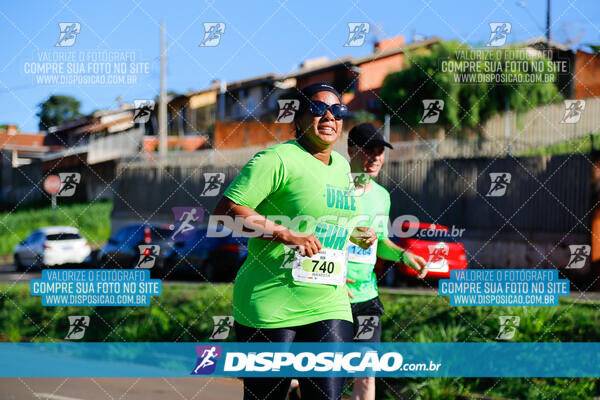 Vale Verde Run 2024