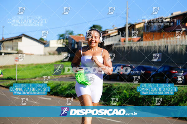 Vale Verde Run 2024