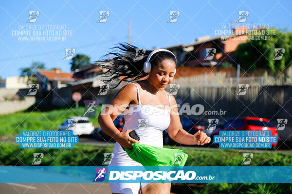 Vale Verde Run 2024