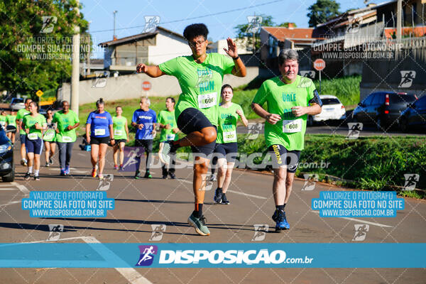 Vale Verde Run 2024