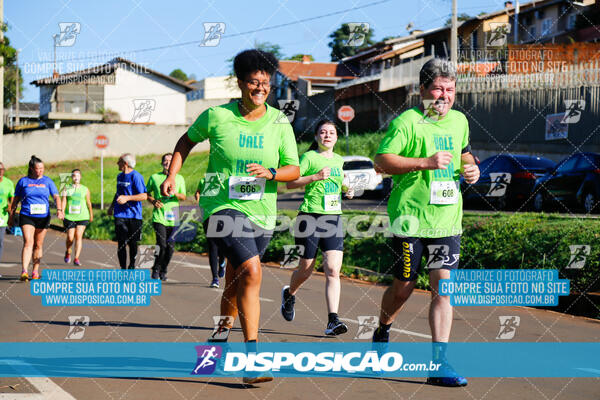 Vale Verde Run 2024