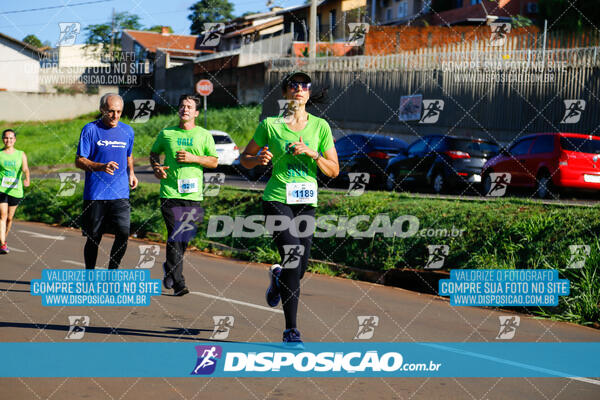 Vale Verde Run 2024