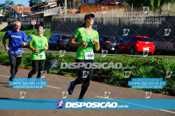 Vale Verde Run 2024